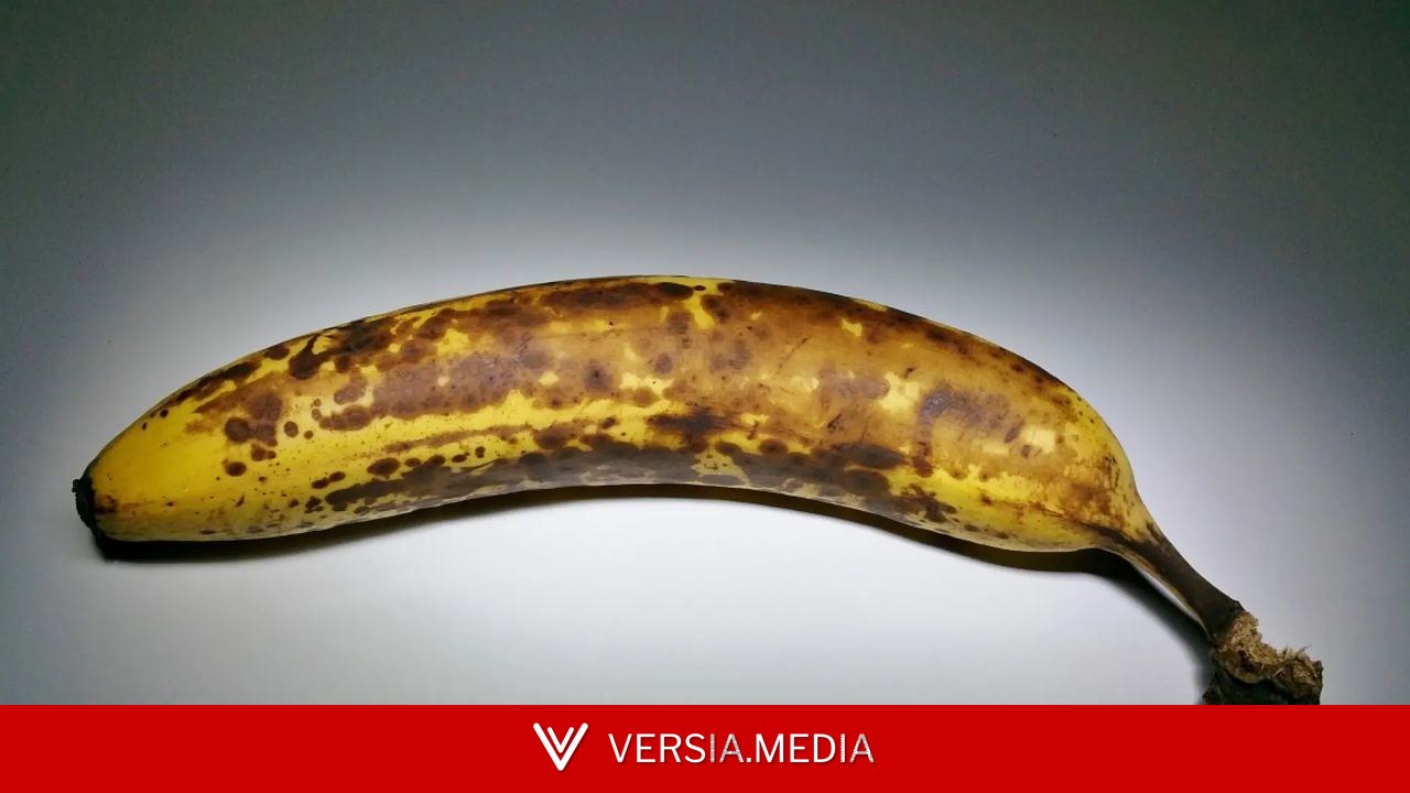 Cuatro señales que indican cuándo debes desechar algunos alimentos, según la ciencia