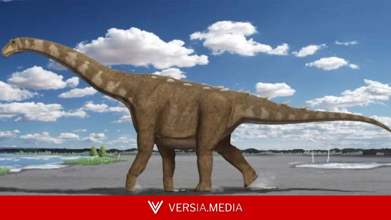 Hallan en un cajón el primer hueso de dinosaurio de la Antártida