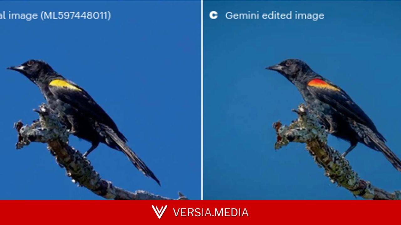 La IA está provocando que las investigaciones sobre aves peligren a causa de las imágenes falsas que se publican