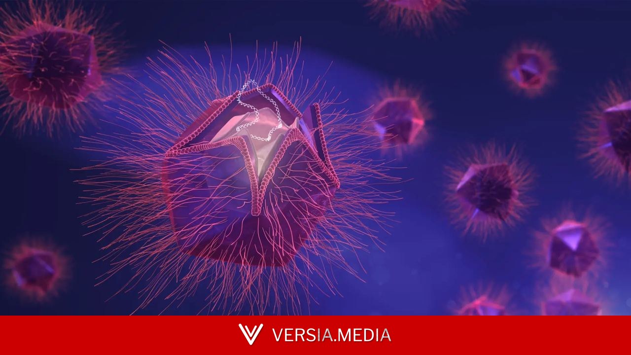 Descubren un nuevo virus gigante que se replica de una forma nunca antes vista