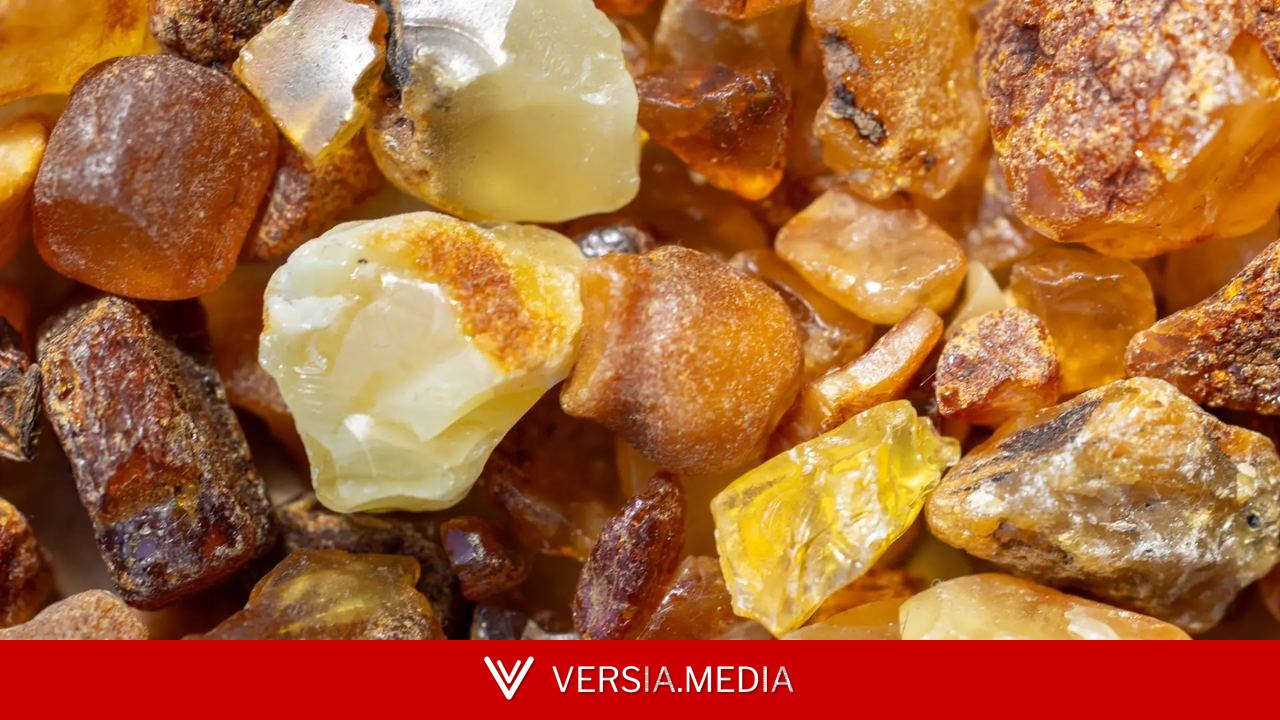 Hallan en China el ámbar más antiguo jamás conocido: tiene 385 millones de años
