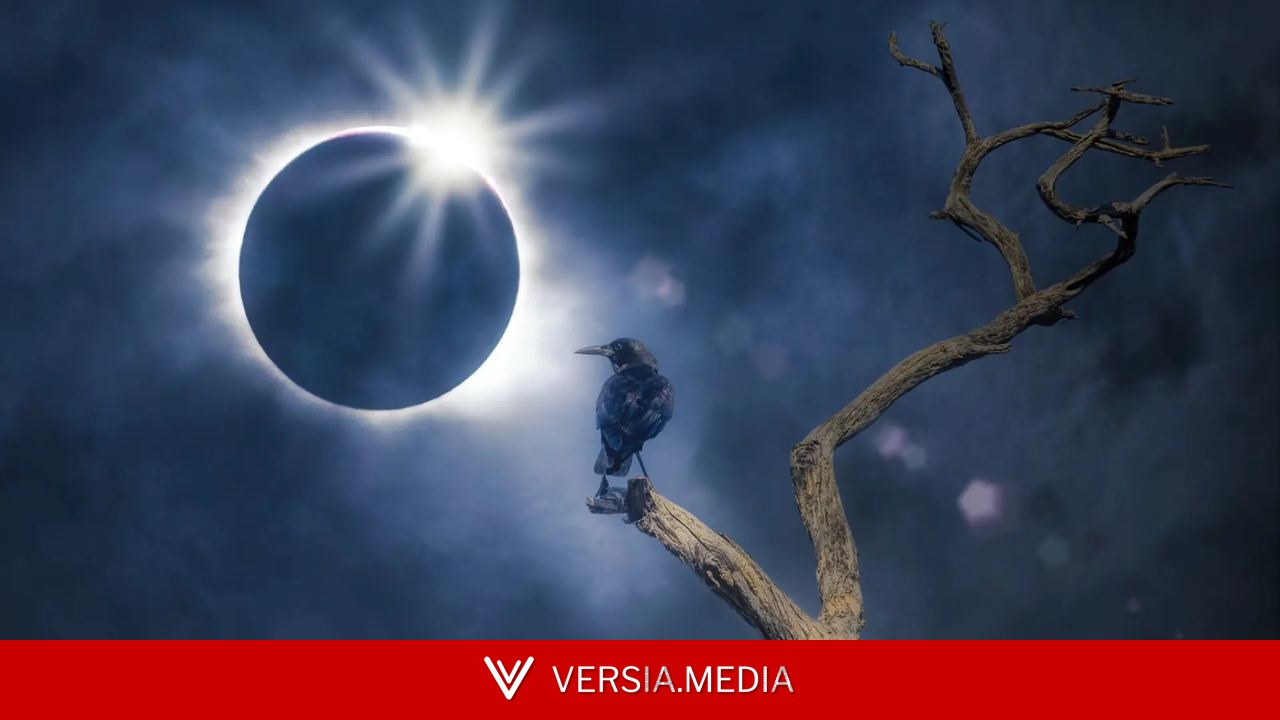 Una ecóloga sevillana estudiará el sonido de aves y murciélagos durante el eclipse solar total y puede contar con tu participación