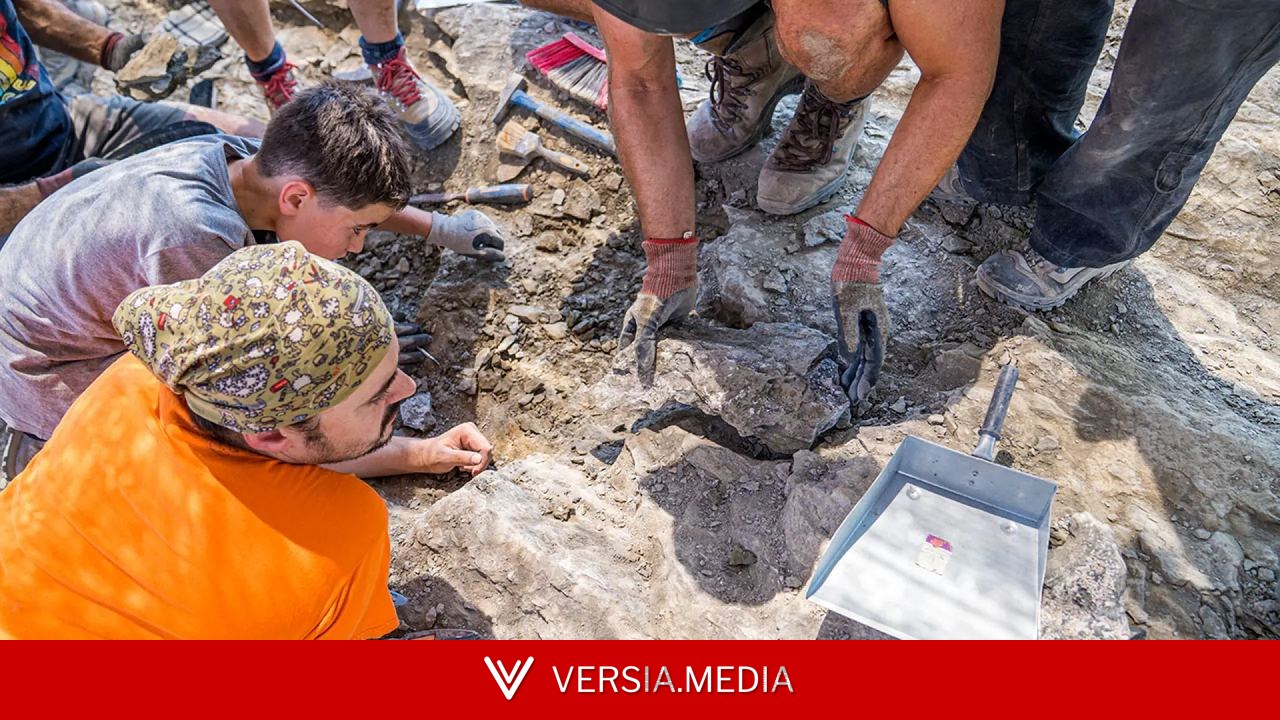 Hallan restos fósiles en La Rioja que apuntan a una especie nueva de dinosaurio